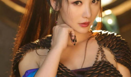 柳岩  电视剧,电视剧中的璀璨星光